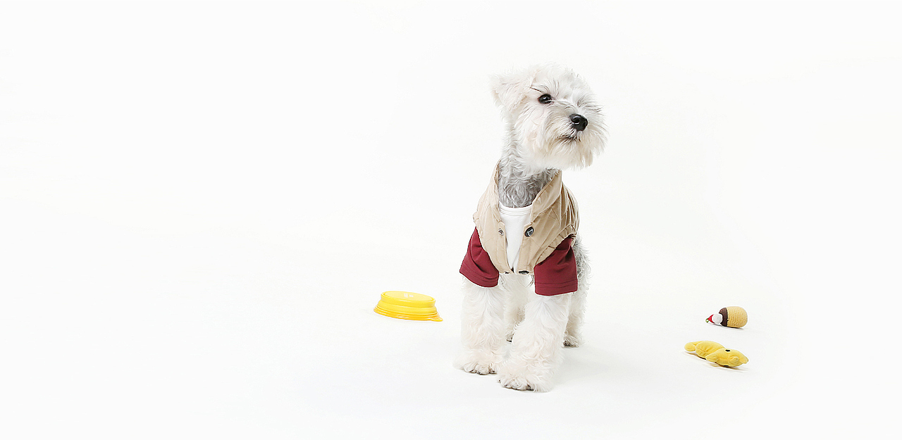 Dogfree品牌设计（图ZMzIxMDg4NjMy） - 品牌 - 站酷设计师美工爸爸原创素材 - 站酷ZCOOL