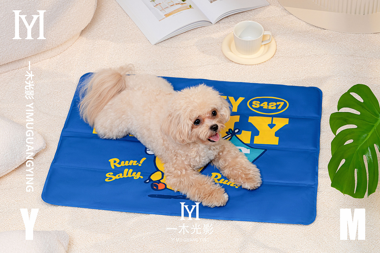 一木光影——yoomi品牌宠物用品拍摄