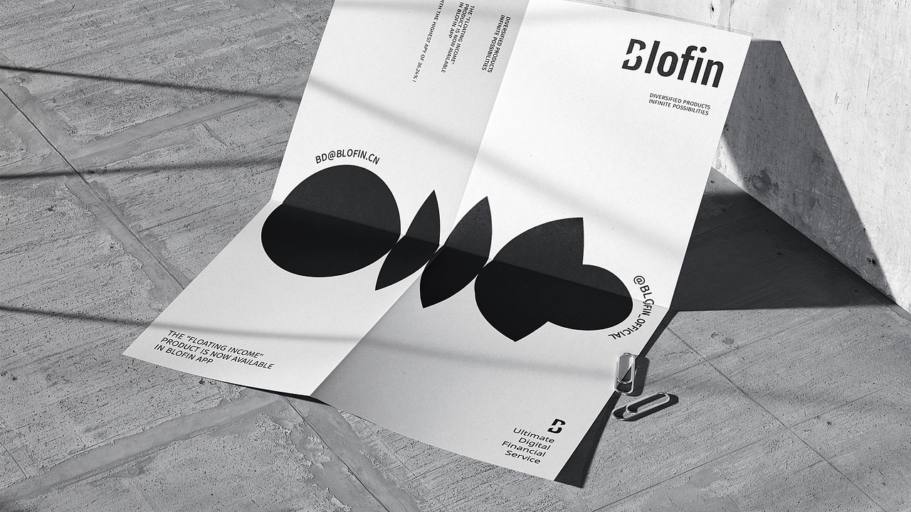 【品牌设计】blofin × 阿呆 - 关于黑白的探索（图ZMzI4OTM3MzYw） - 品牌 - 站酷设计师Design_YiQiu原创素材 - 站酷ZCOOL