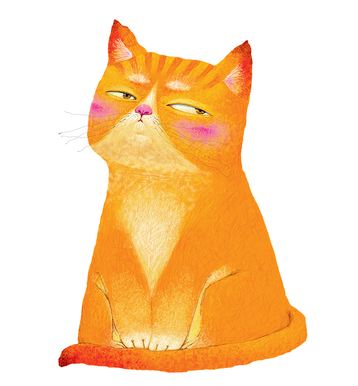 先画出猫的主体