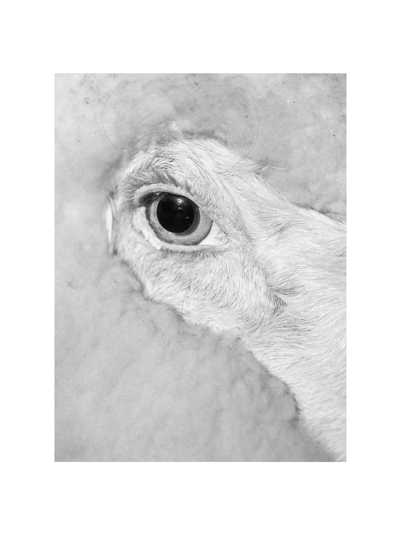 拾光（图ZMzYwMTk1ODg0） - 人文/纪实摄影 - 站酷设计师donghuan2015原创素材 - 站酷ZCOOL