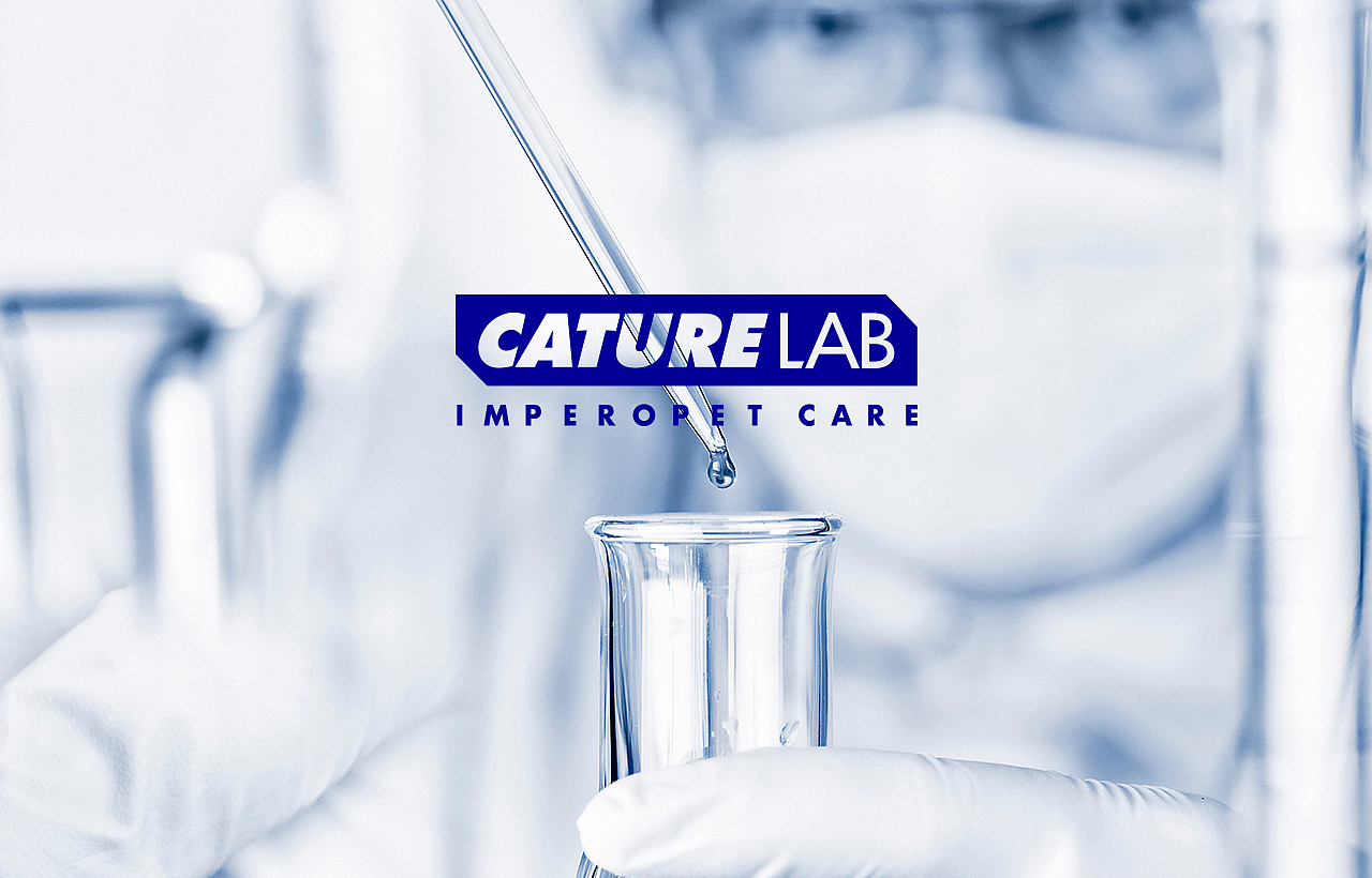 线上全案策划 | 小壳（图ZMzIwNjkzMDUy） - 电商 - 站酷设计师设计师画原创素材 - 站酷ZCOOL