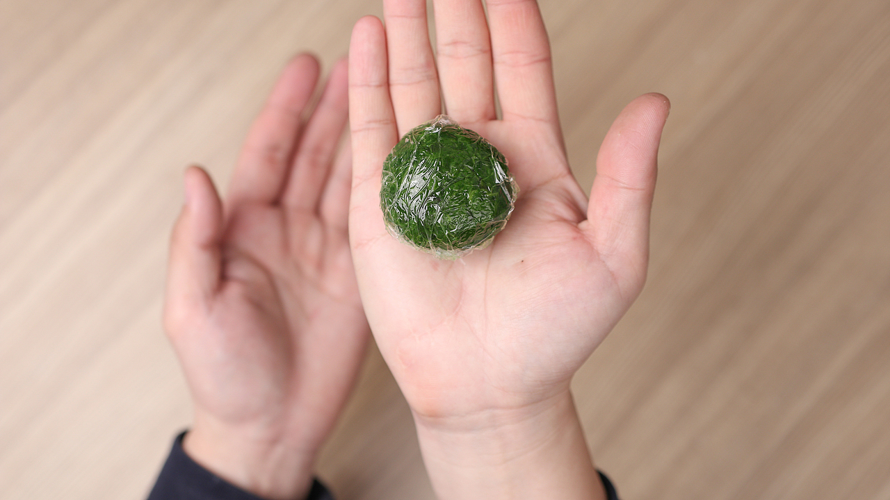 #WOW我说这是用最新鲜食材做的青团,应该没人反对吧