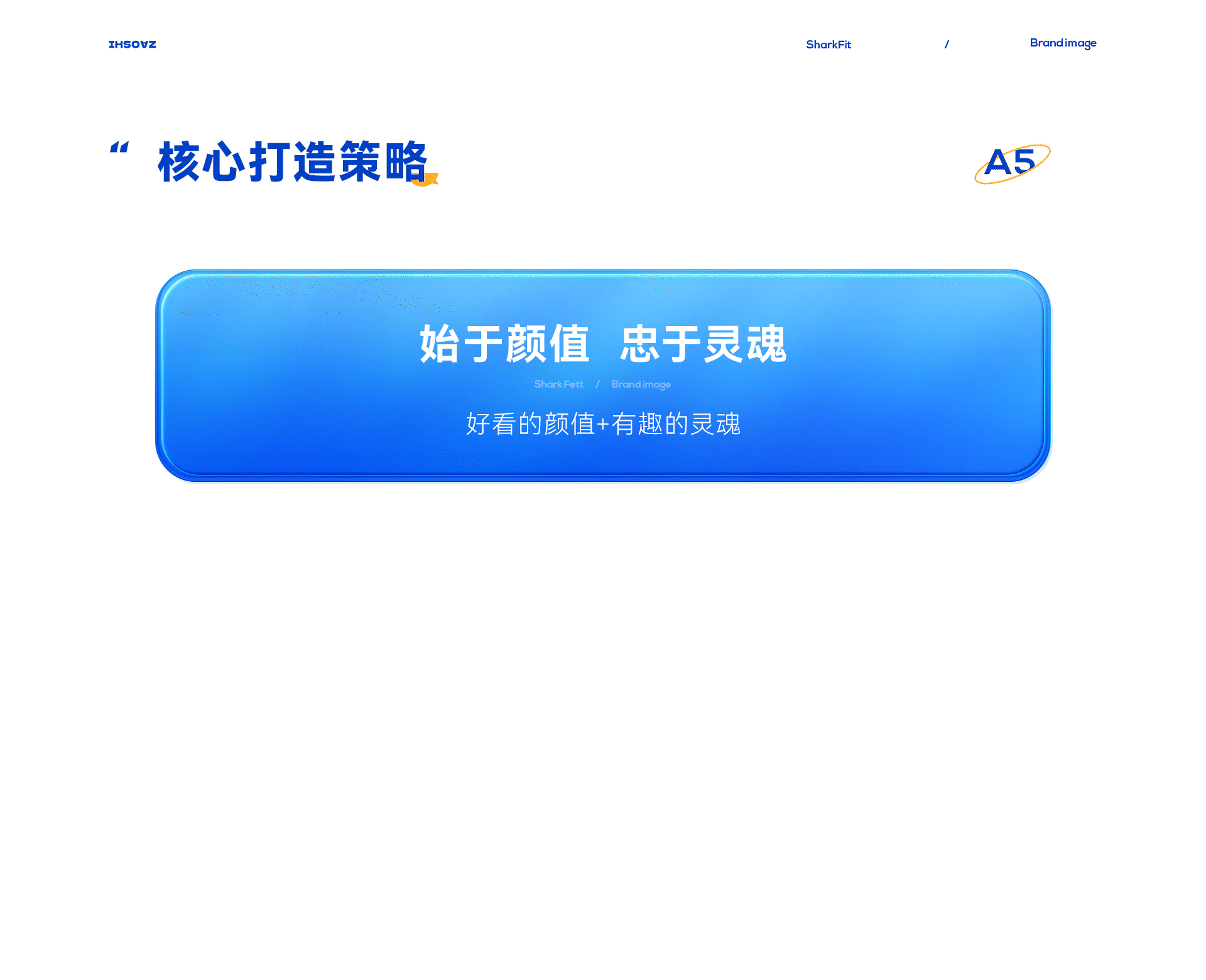 鲨鱼菲特差异化品牌体系打造 包装丨IP丨建模丨详情