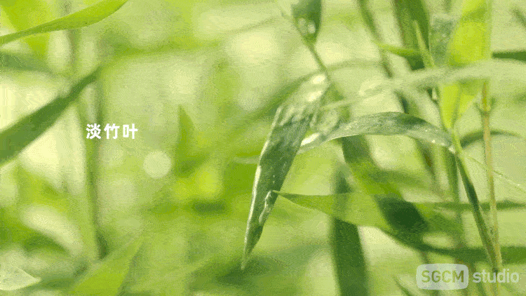 茶饮品牌视频 | 哲品云气茶 X SGCM 拾光制片廠（图ZMzMyNDkxNDQw） - 宣传片 - 站酷设计师拾光传媒原创素材 - 站酷ZCOOL