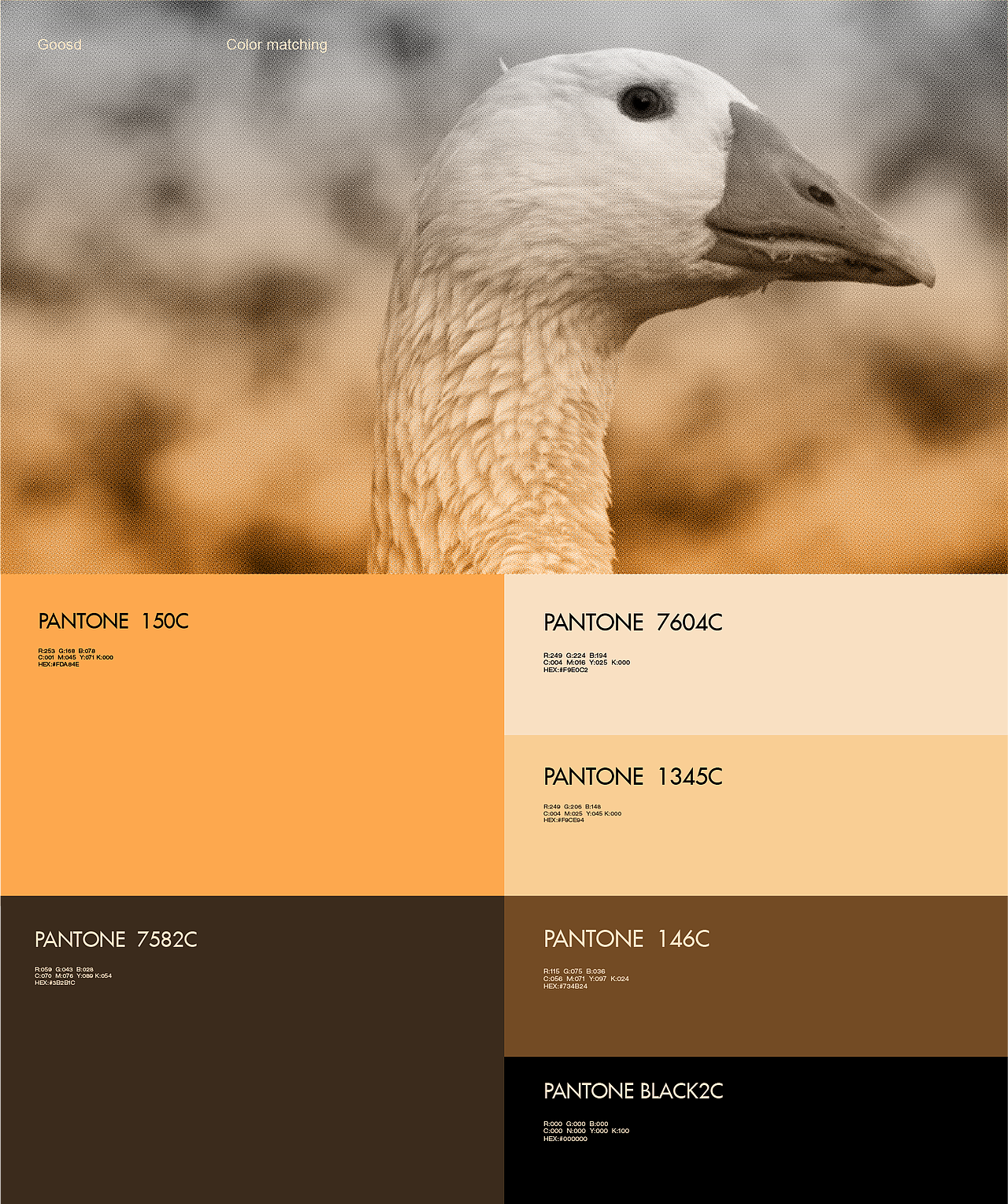 Emotional.D.LAB 鹅咿嘻 | 心意·情意·鵝咿嘻