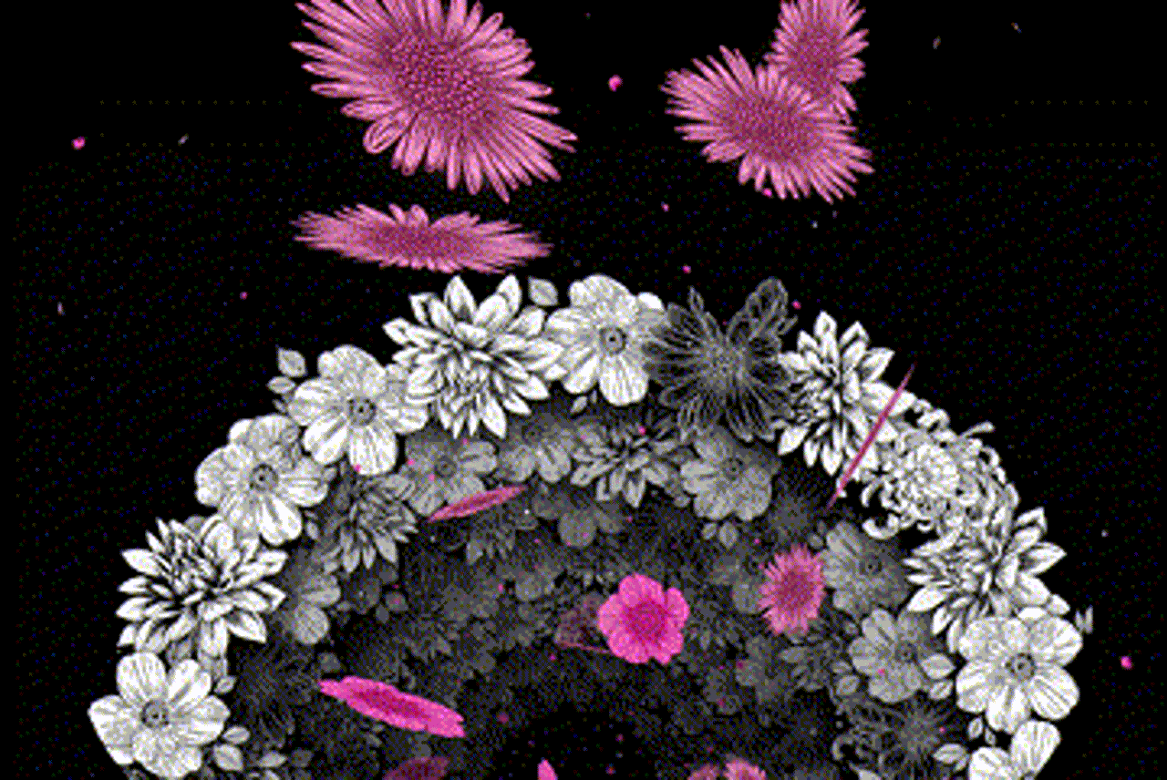 [Nothing]芒果TV《声生不息》整体视觉规划//