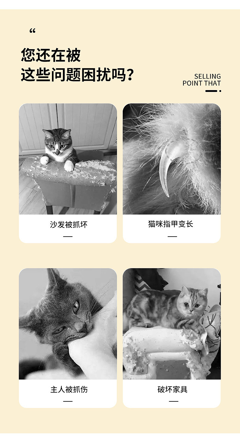 亚马逊产品摄影宠物猫爬架拍摄静物产品广告视频摄影拍