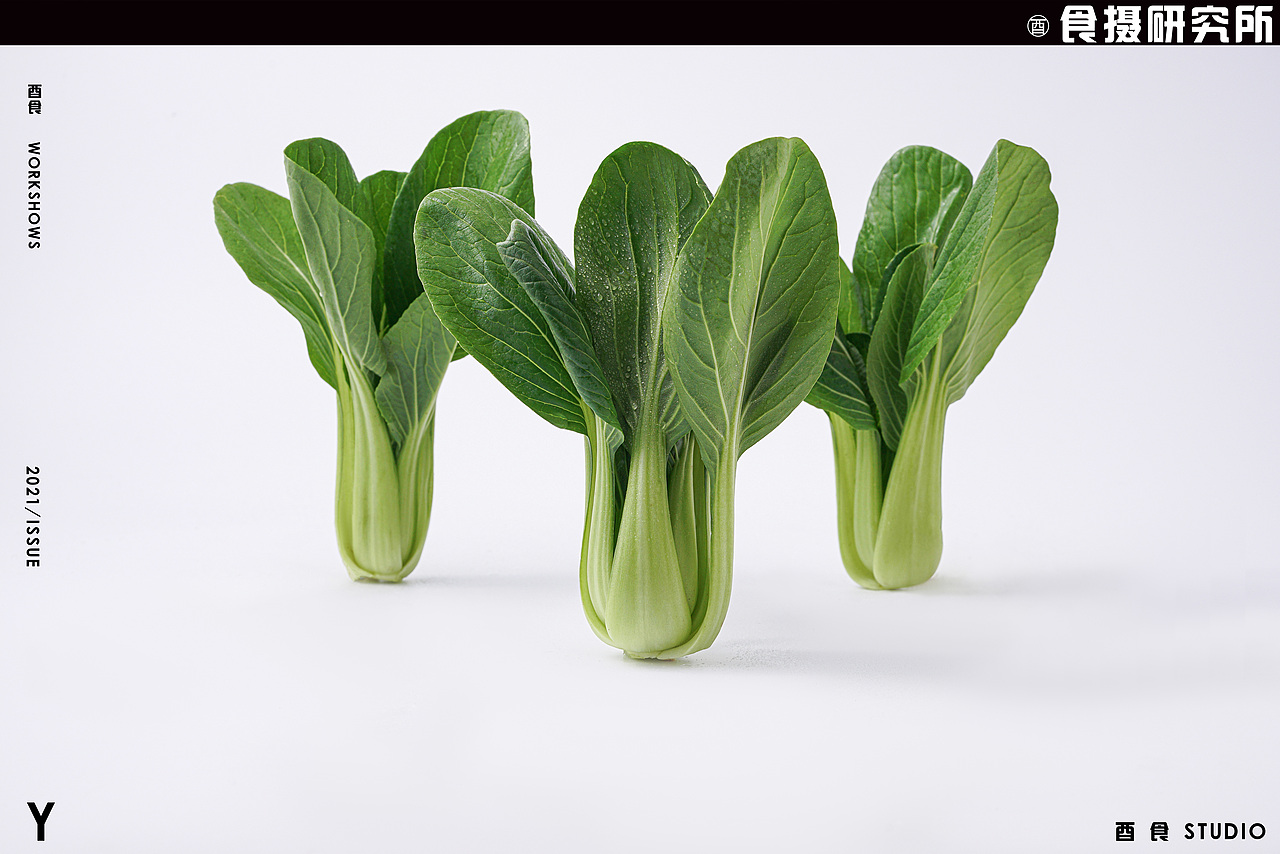 听说最近素菜很贵，疯狂涨价（图ZMjk2NDQyMTQ0） - 美食摄影 - 站酷设计师酉食摄原创素材 - 站酷ZCOOL