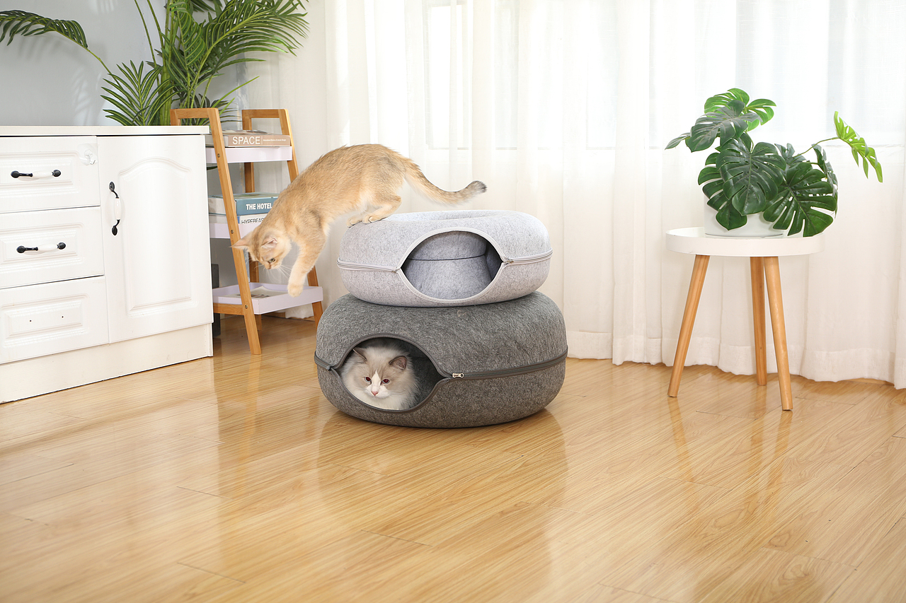 产品摄影广告拍摄亚马逊宠物用品拍照视频制作主图设计