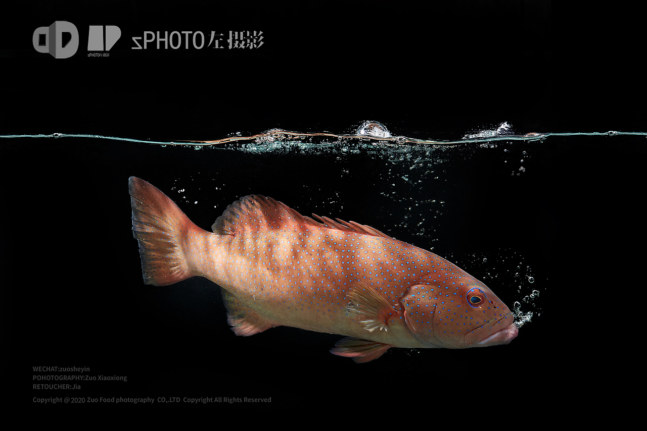 美食摄影【东海小渔村】@左摄影