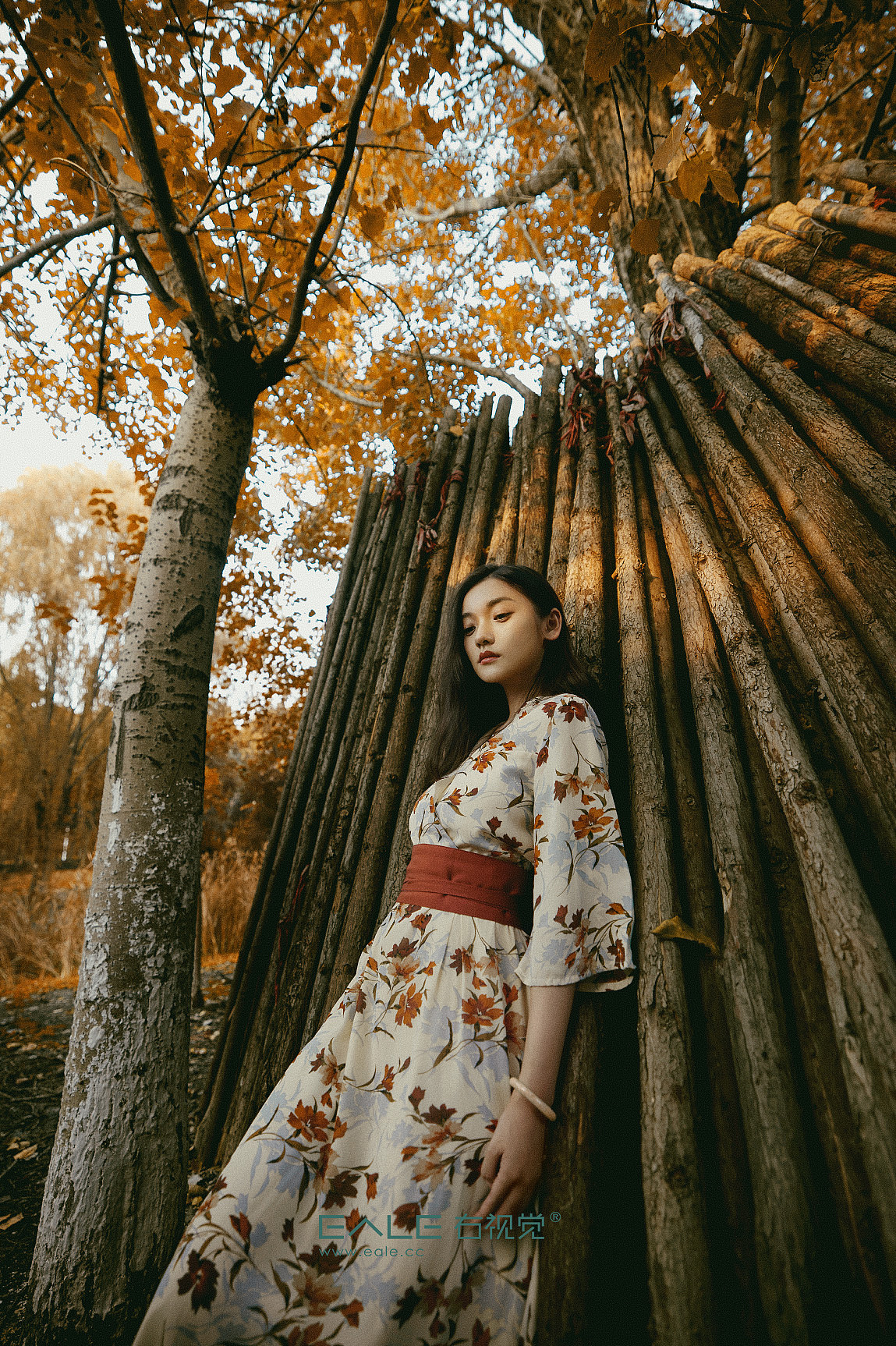 听说秋天回来过