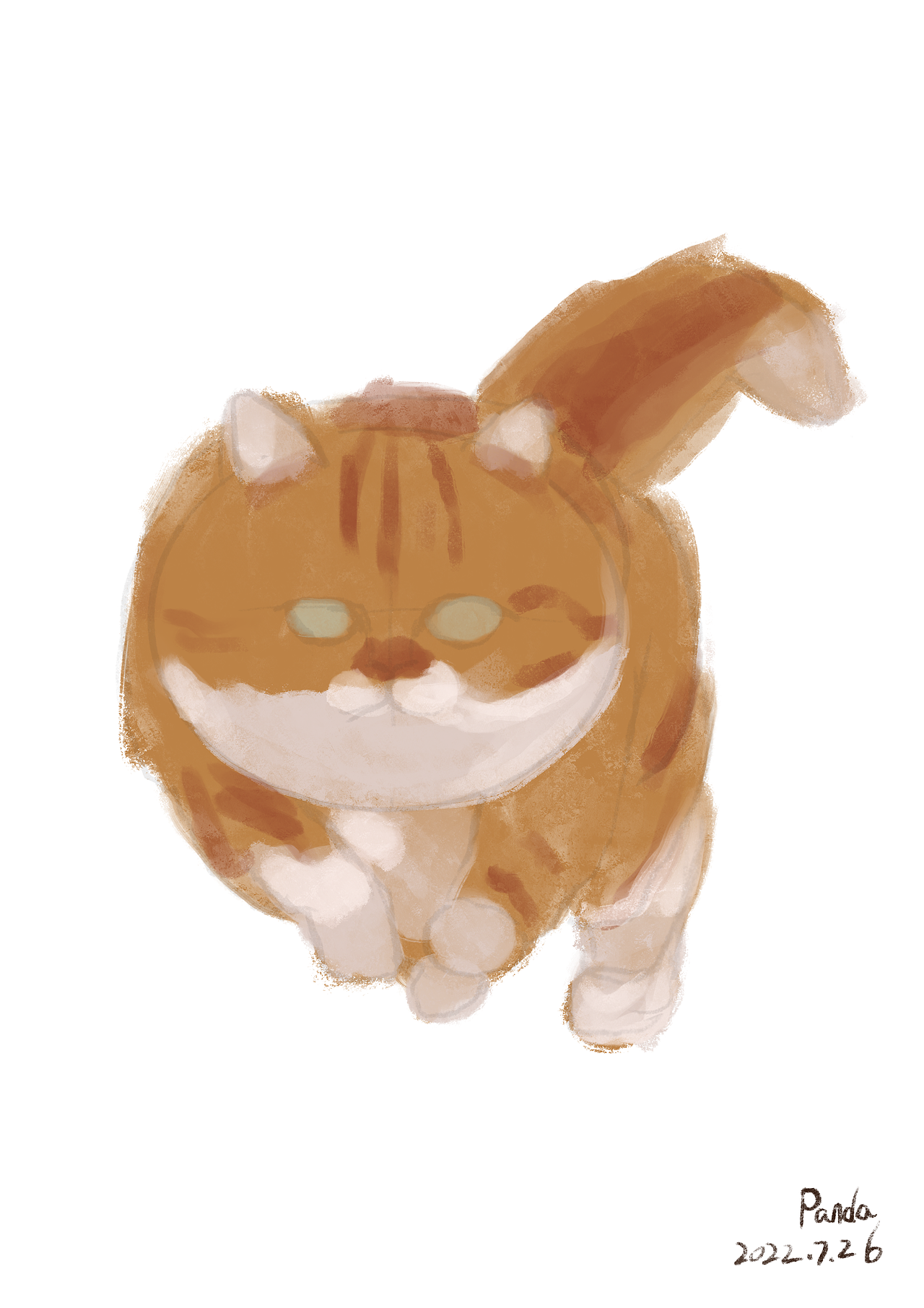 iPad画一只大橘猫