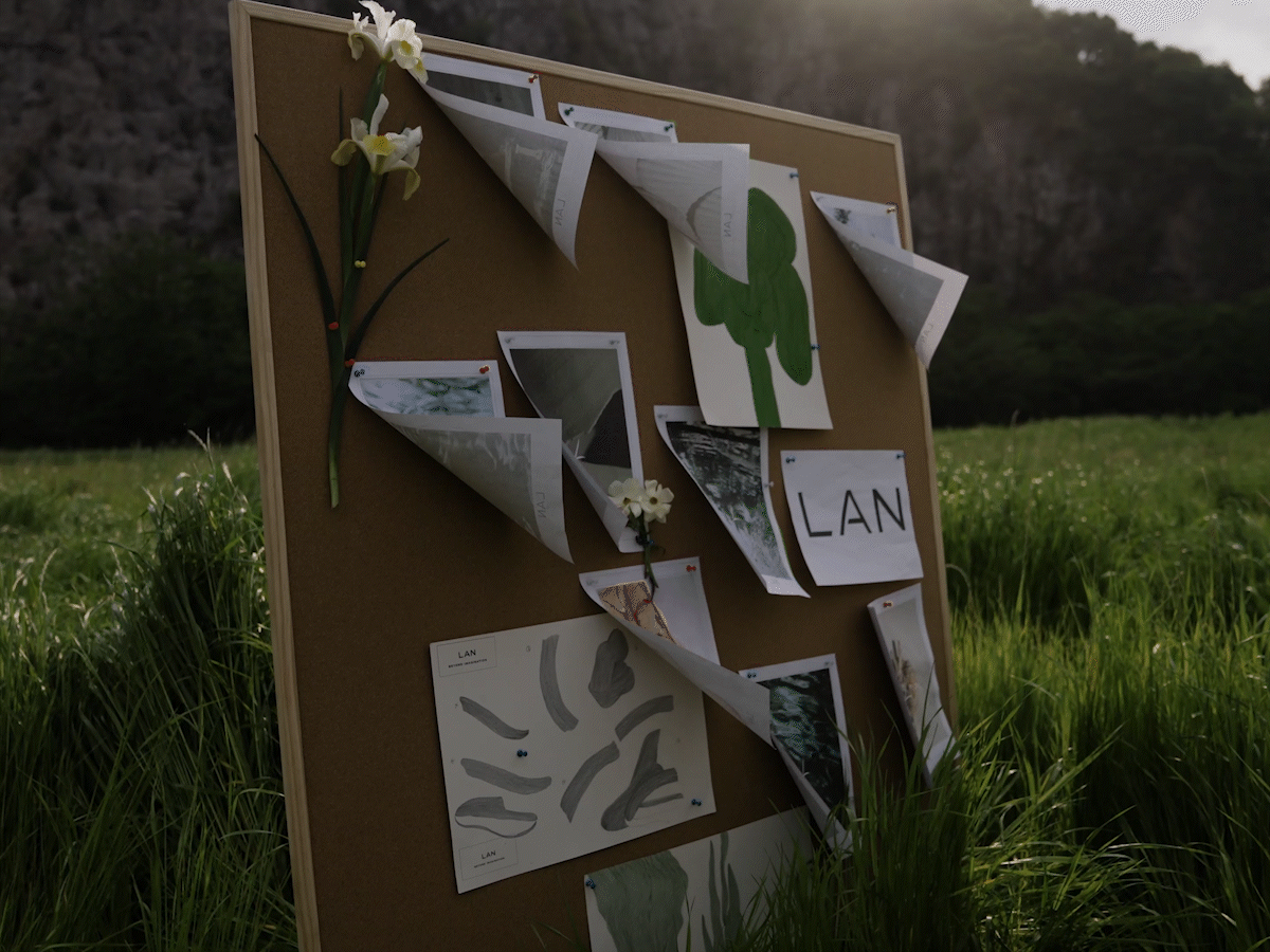 LAN「Newborn」绿意再生 创意实验短片