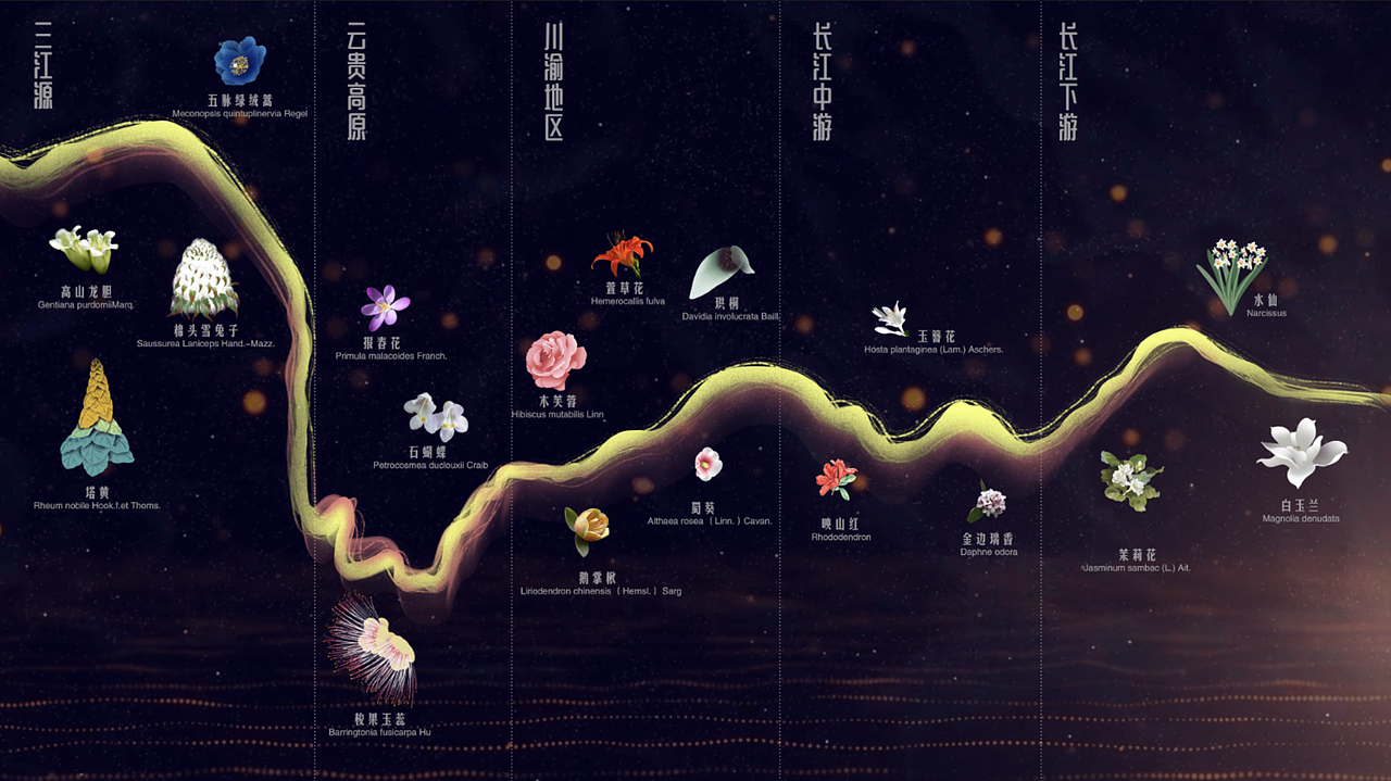 展厅|SHANGHAI 第十届中国花博会CHINA FLOWER EXPO