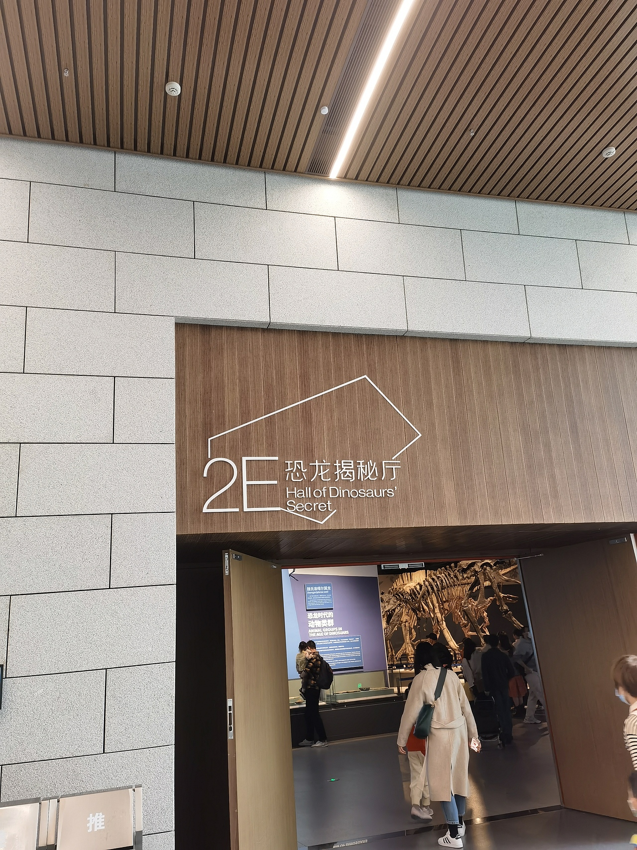 成都自然博物馆（图ZMzI0NTI3Njgw） - 展陈设计 - 站酷设计师聚光灯下锦衣夜行原创素材 - 站酷ZCOOL