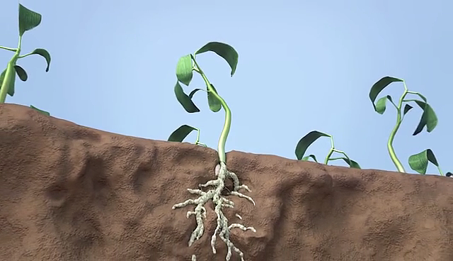 怎样有效预防农作物病虫感染？？（图ZMzEwMDYwMTMy） - 场景 - 站酷设计师聚匠文化原创素材 - 站酷ZCOOL