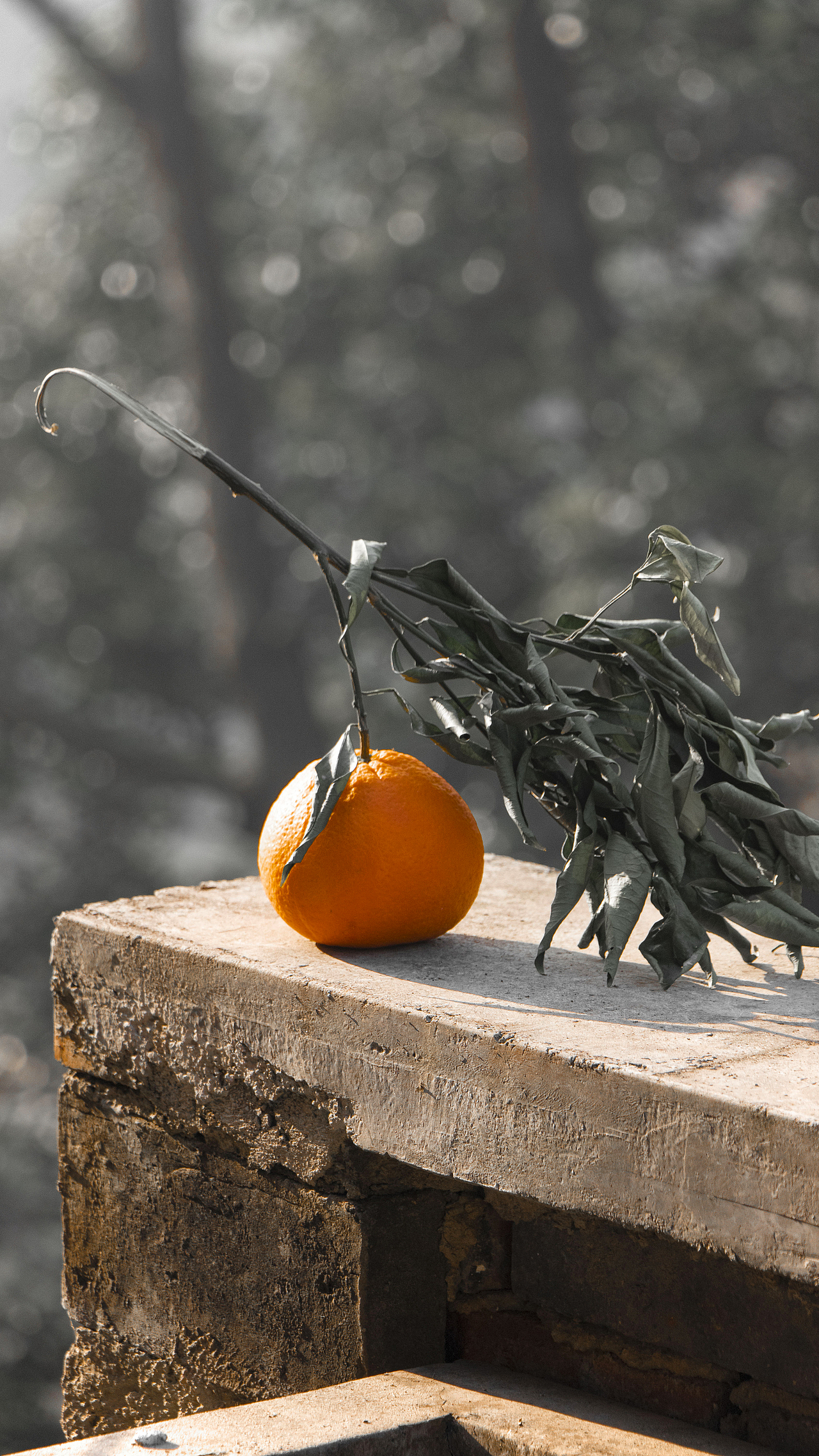 黑金效果（图ZMjk5ODc4NDg0） - 人文/纪实摄影 - 站酷设计师南澄原创素材 - 站酷ZCOOL