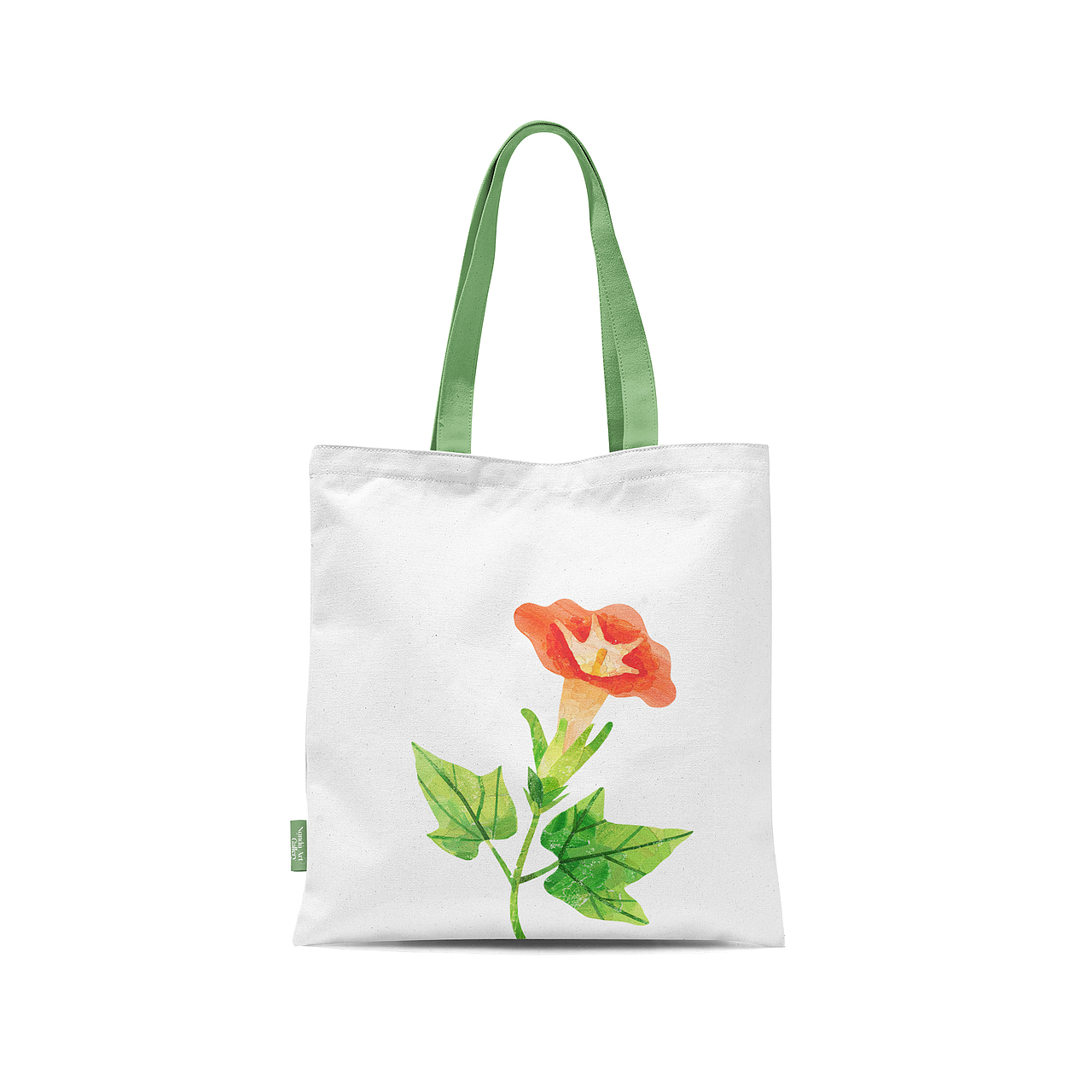 Redesign of the Biology Book 生物书再设计