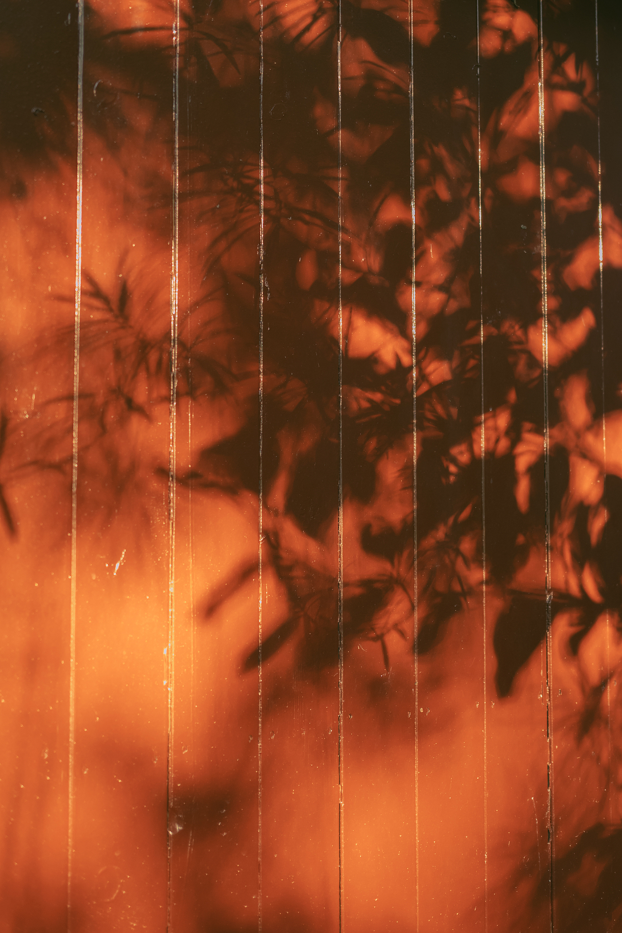 小扇引微凉 悠悠夏日长