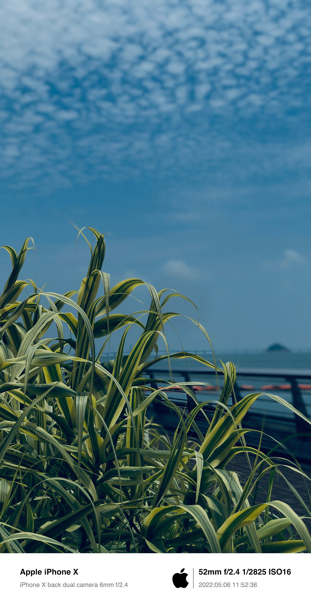 IPHONE-隨手閑拍-(不定期更新)（图ZMzA5Mzk2MTY4） - 风光摄影 - 站酷设计师oOGARSON莊Oo原创素材 - 站酷ZCOOL