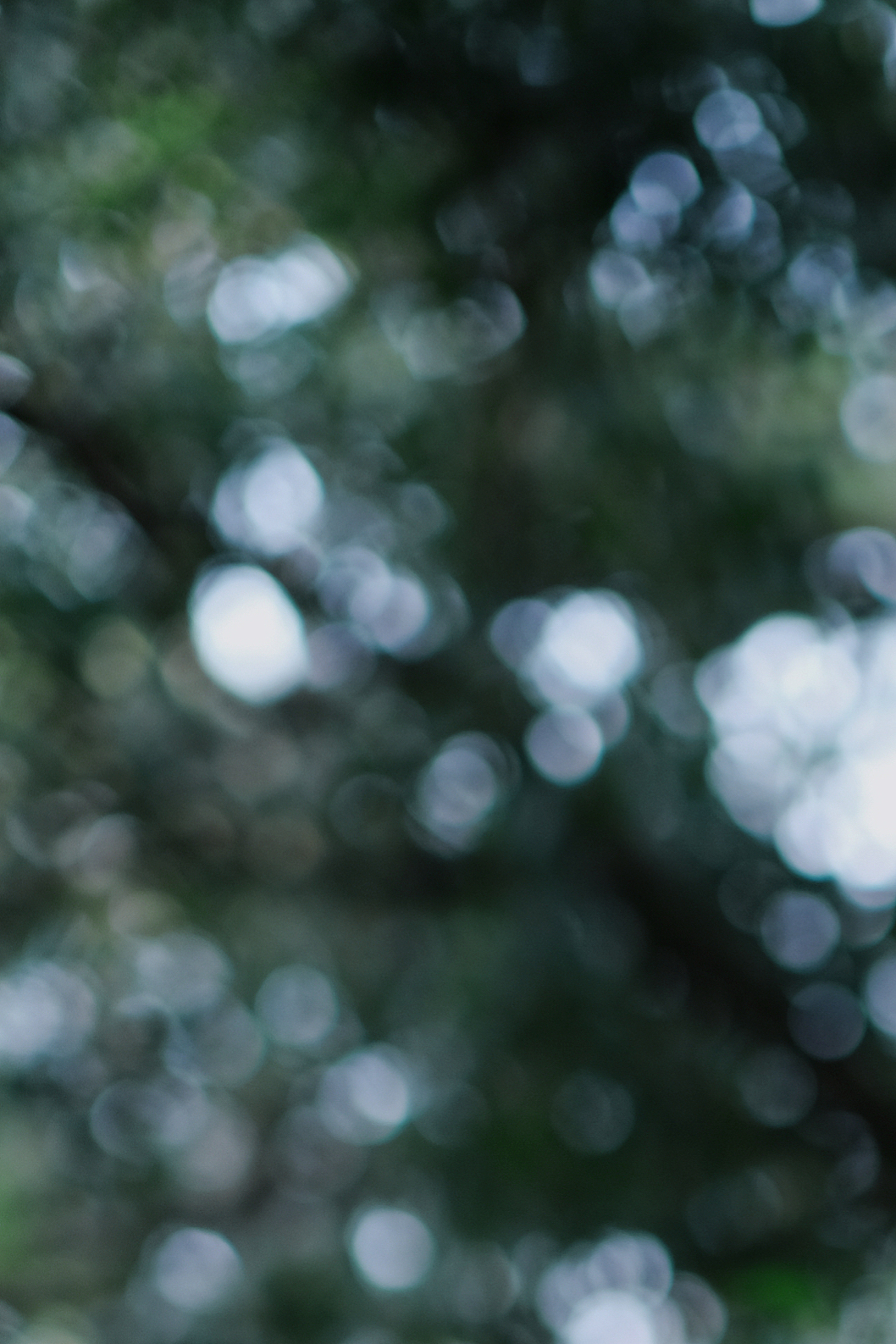 森系少女（圖ZMzEzNjcyNjMy） - 人像攝影 - 站酷設(shè)計(jì)師林生菜原創(chuàng)素材 - 站酷ZCOOL