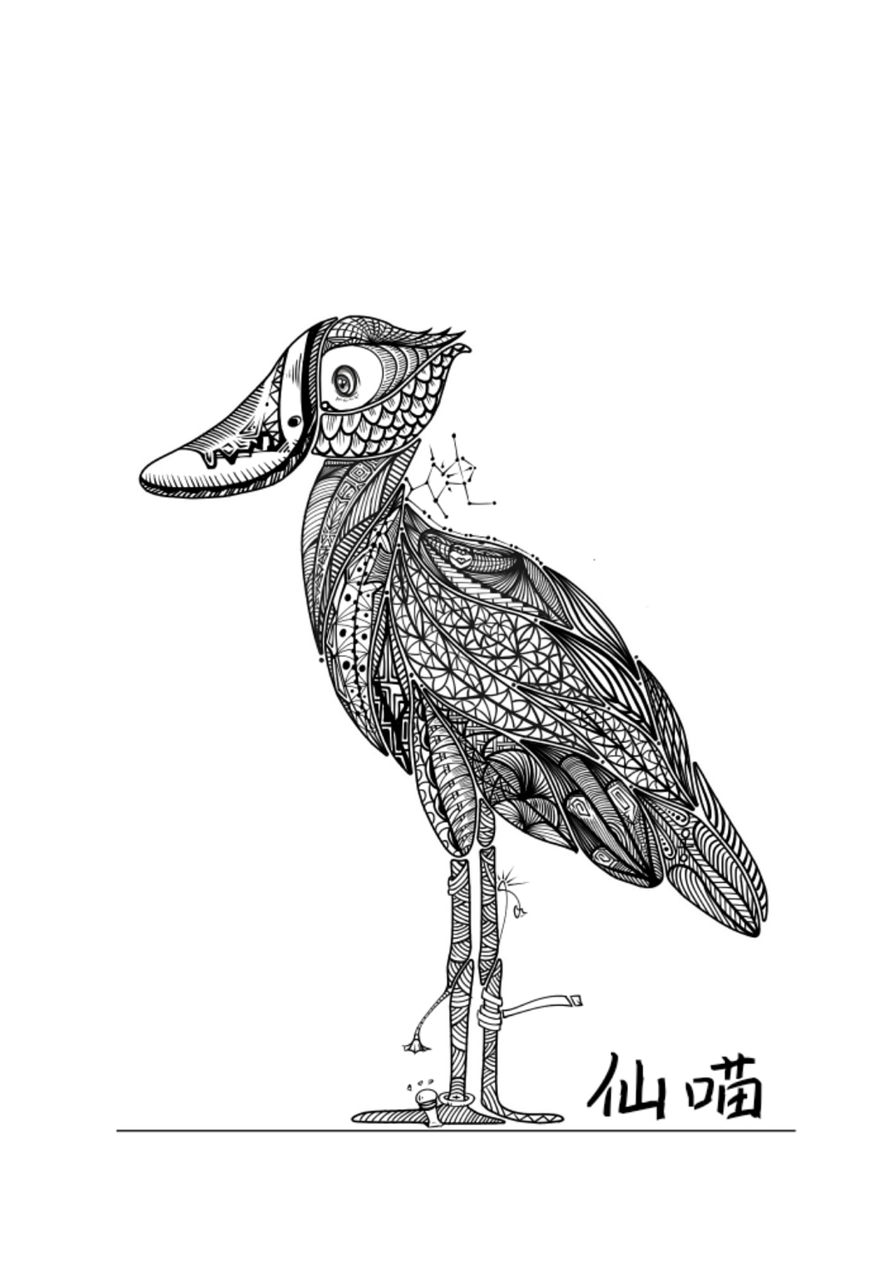 灵光一线----鲸头鹳