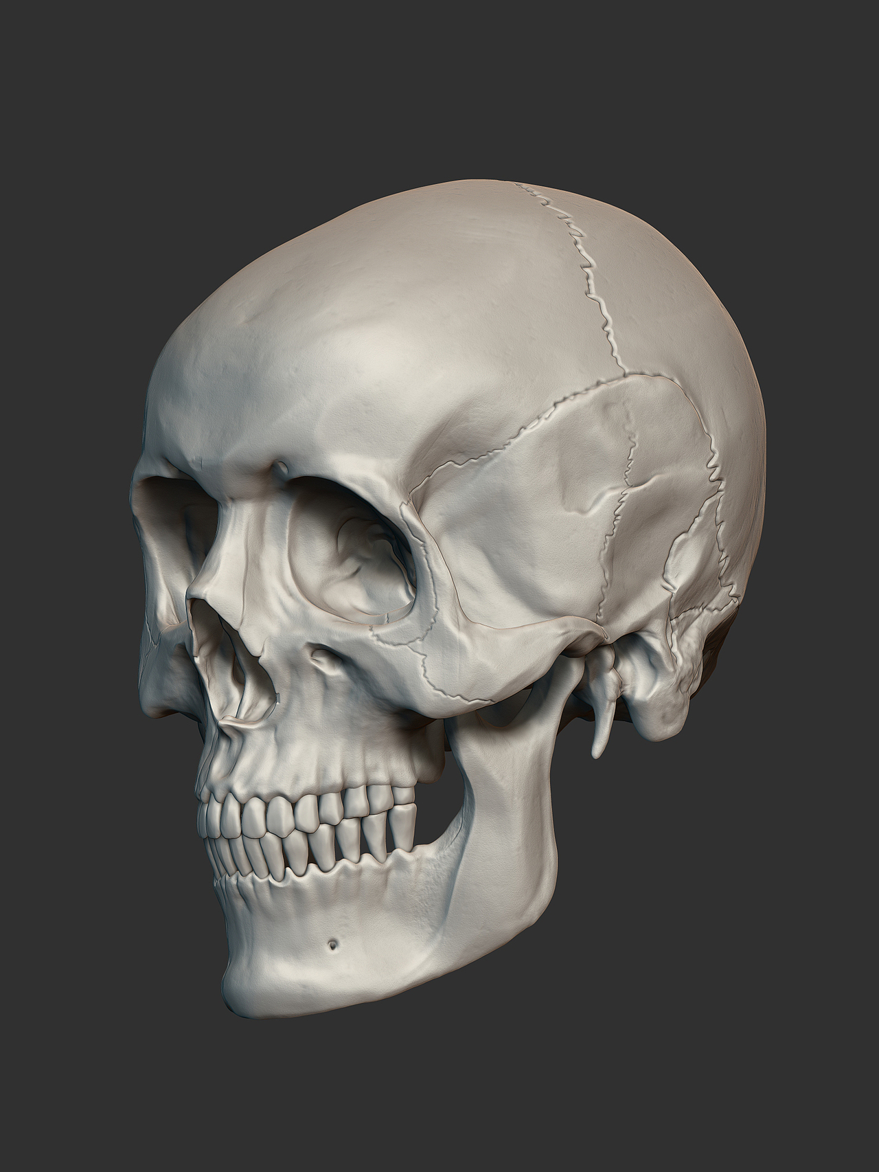 zbrush头骨雕刻练习