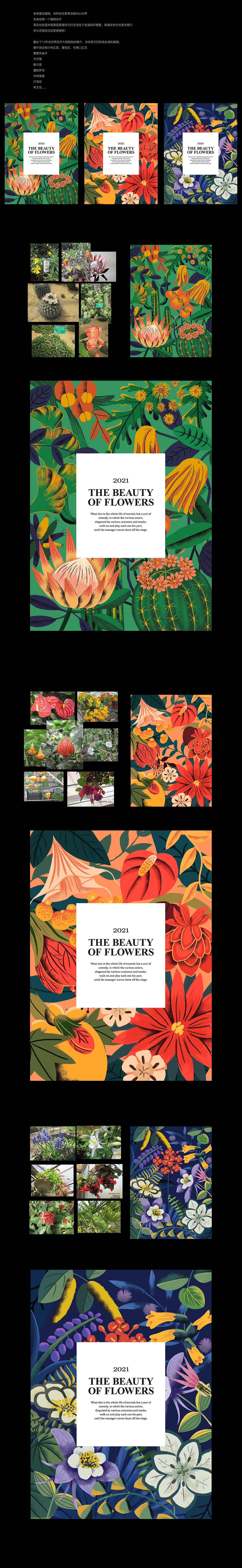 繁花系列植物插画