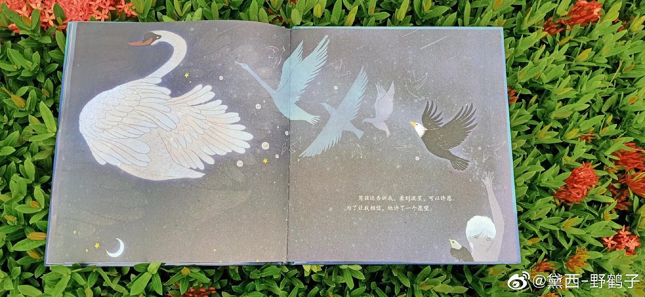 银河摆渡人，出版了（图ZMzA0NTQyODYw） - 绘本 - 站酷设计师黛西野鹤原创素材 - 站酷ZCOOL