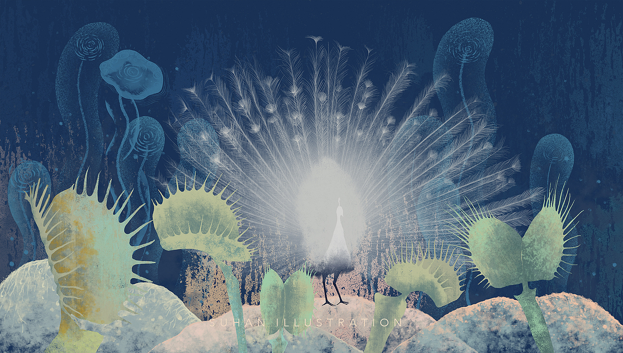 2023年度插画总结｜时间有她的来意（图ZMzU5NTM0MzEy） - 艺术插画 - 站酷设计师苏寒原创素材 - 站酷ZCOOL