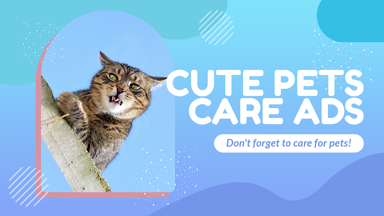 网页动画包装-可爱的宠物护理广告（图ZMzM5OTAzNTYw） - 电商 - 站酷设计师饼干块儿原创素材 - 站酷ZCOOL