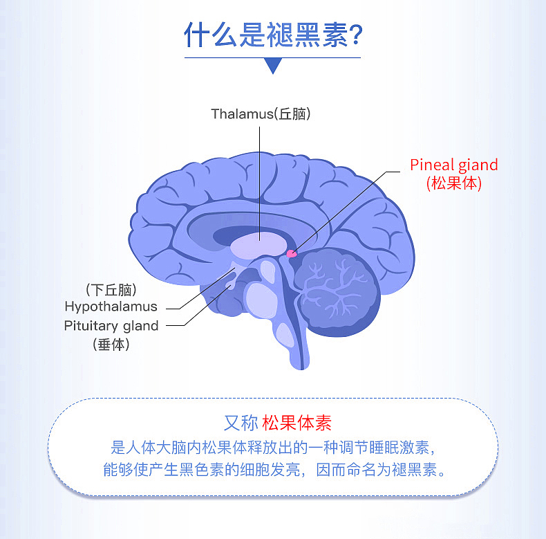 福记坊牌褪黑素片