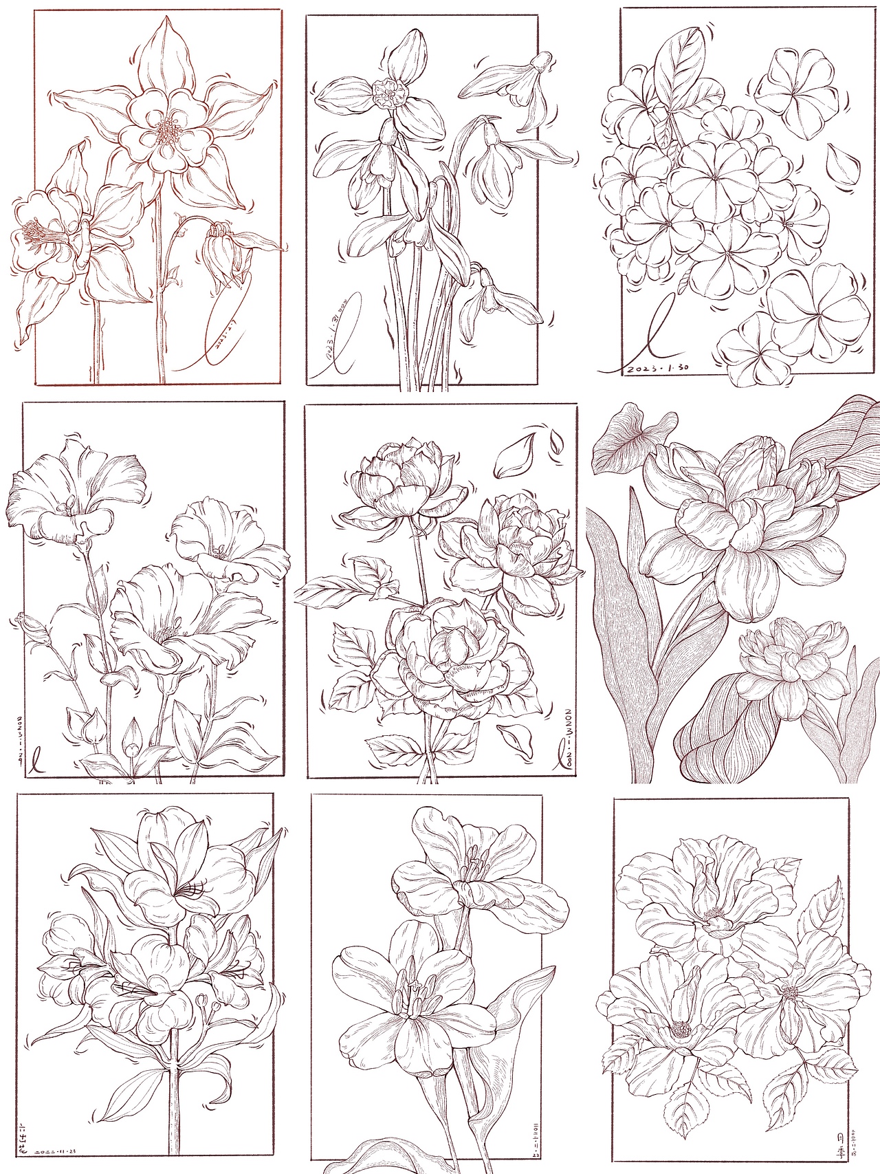 植物线稿创作合集（图ZMzQzMzA1OTY0） - 创作习作 - 站酷设计师禾二有四点原创素材 - 站酷ZCOOL