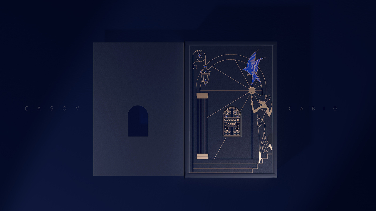 礼盒设计-嘉必优Pr明星定制礼盒