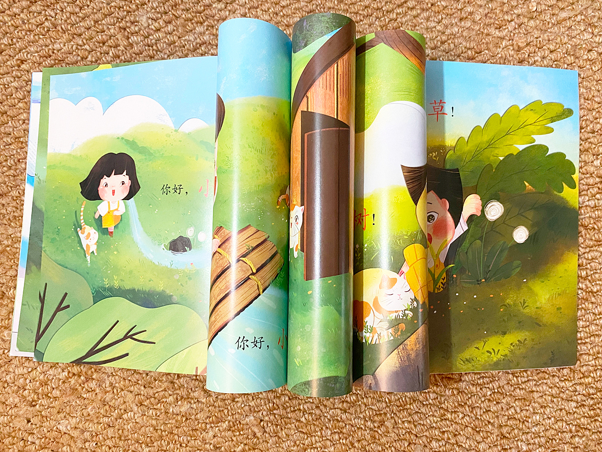 中信出版物插图《你好,大地》