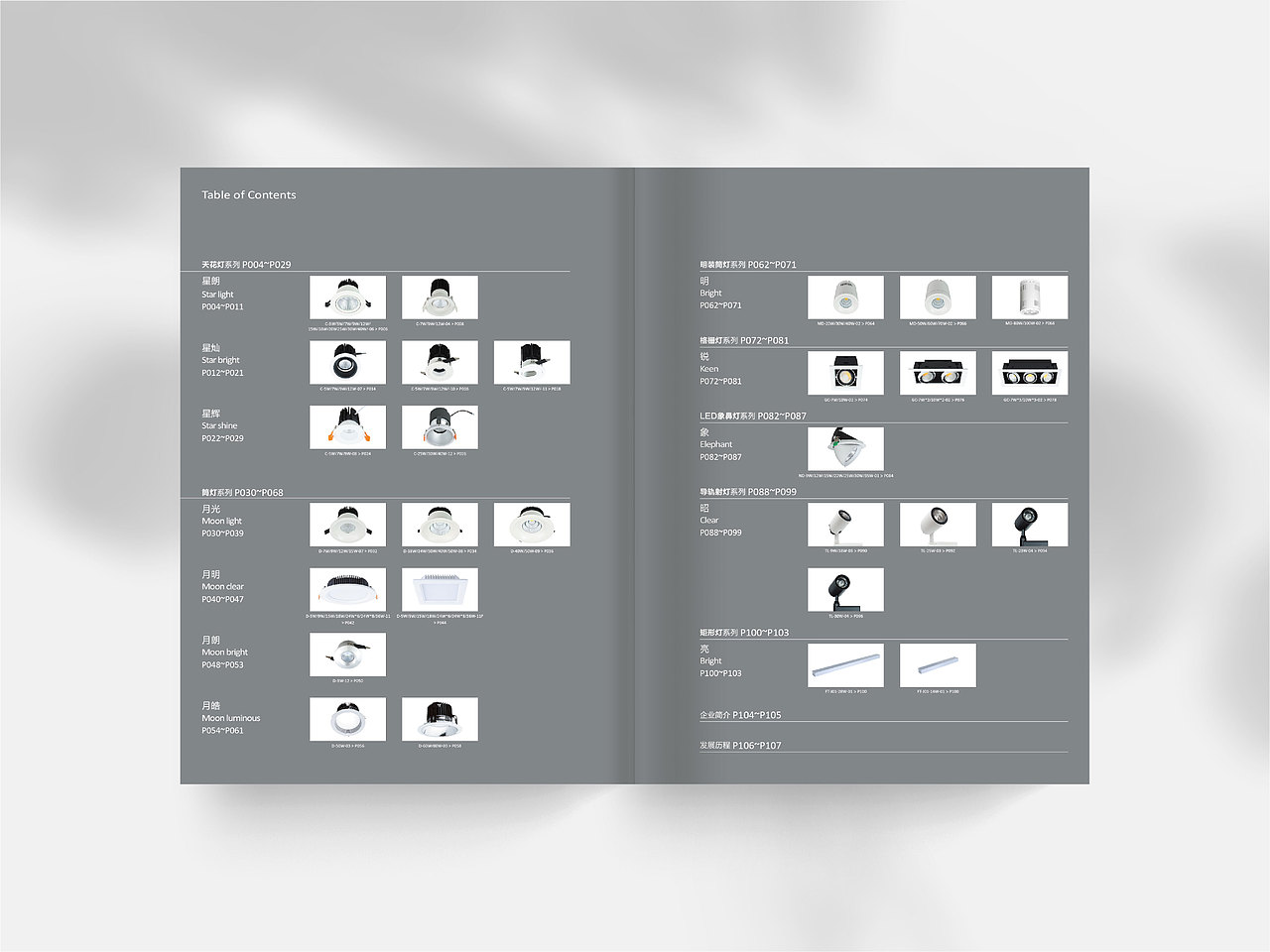 新辉光电|画册设计
