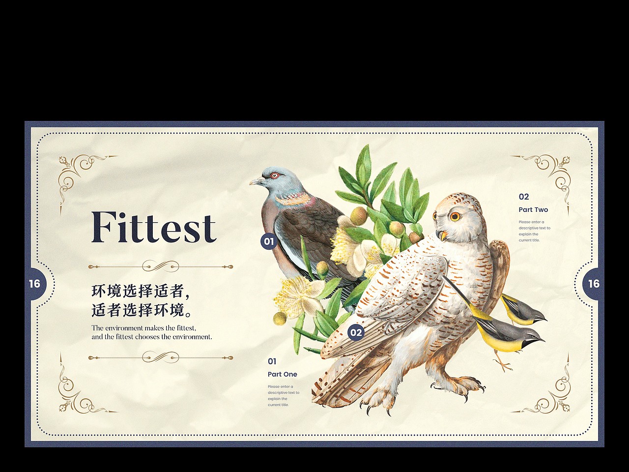 【自然选择不说】复古自然插画主题PPT模板（图ZMzE1MzQ5MTA0） - PPT/Keynote - 站酷设计师凉了药原创素材 - 站酷ZCOOL