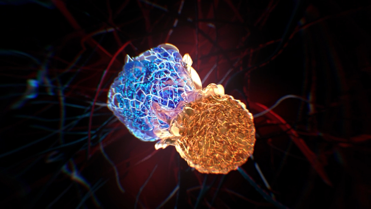 医学医疗原理动画展示-医疗动画制作公司