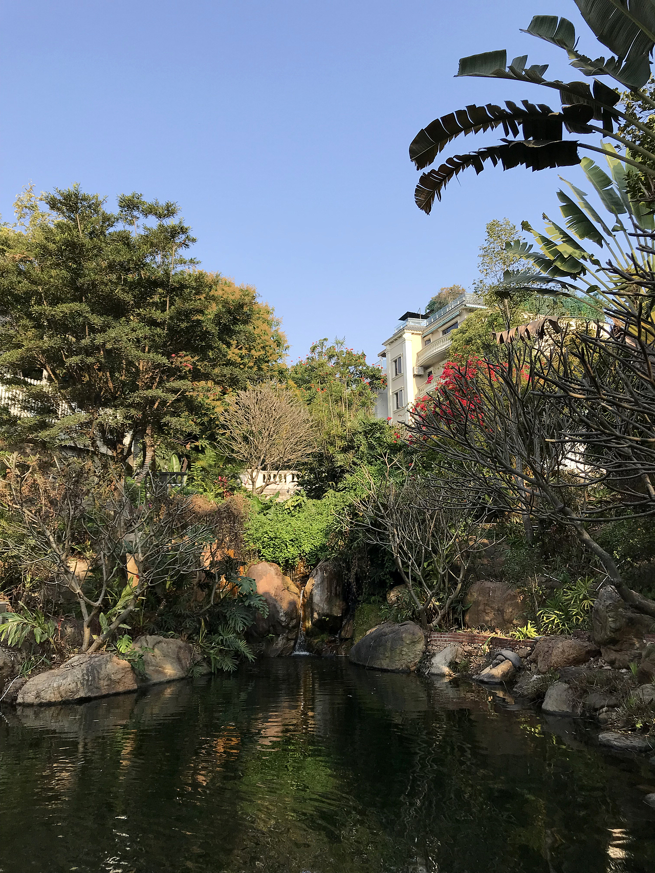 空山无人水流花开