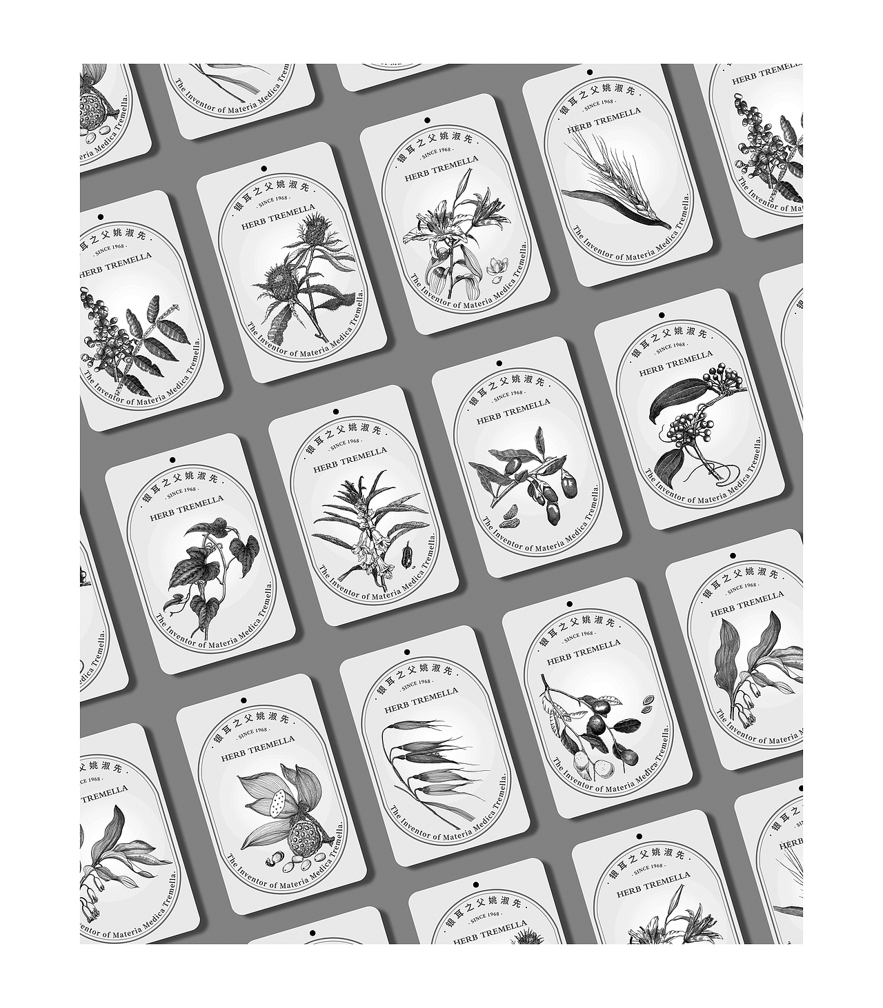 苏武插画《十二本草 . 本草银耳》的创作过程