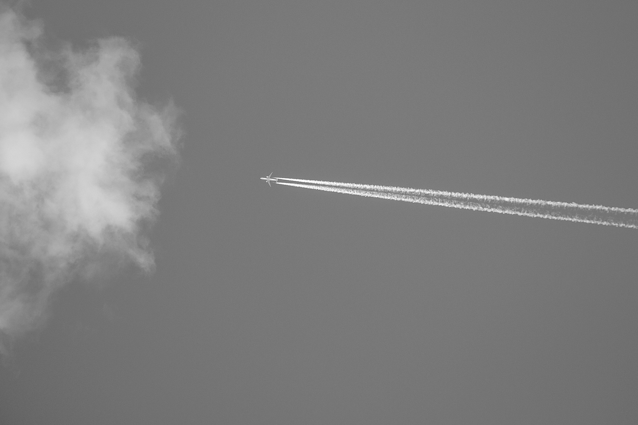 哈尔滨，呼伦贝尔，2020（图ZMzU5ODEyMTQw） - 风光摄影 - 站酷设计师程小灰啊原创素材 - 站酷ZCOOL