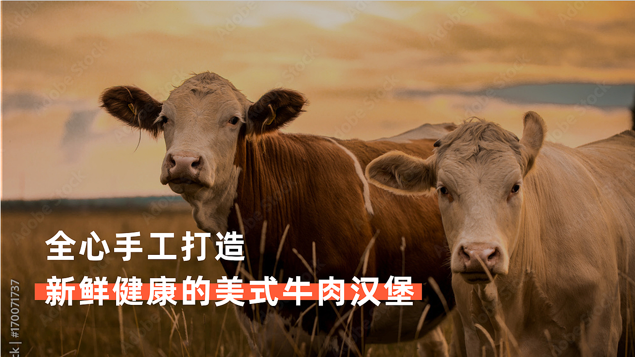 汉堡品牌提案设计丨wow牛堡丨美式汉堡