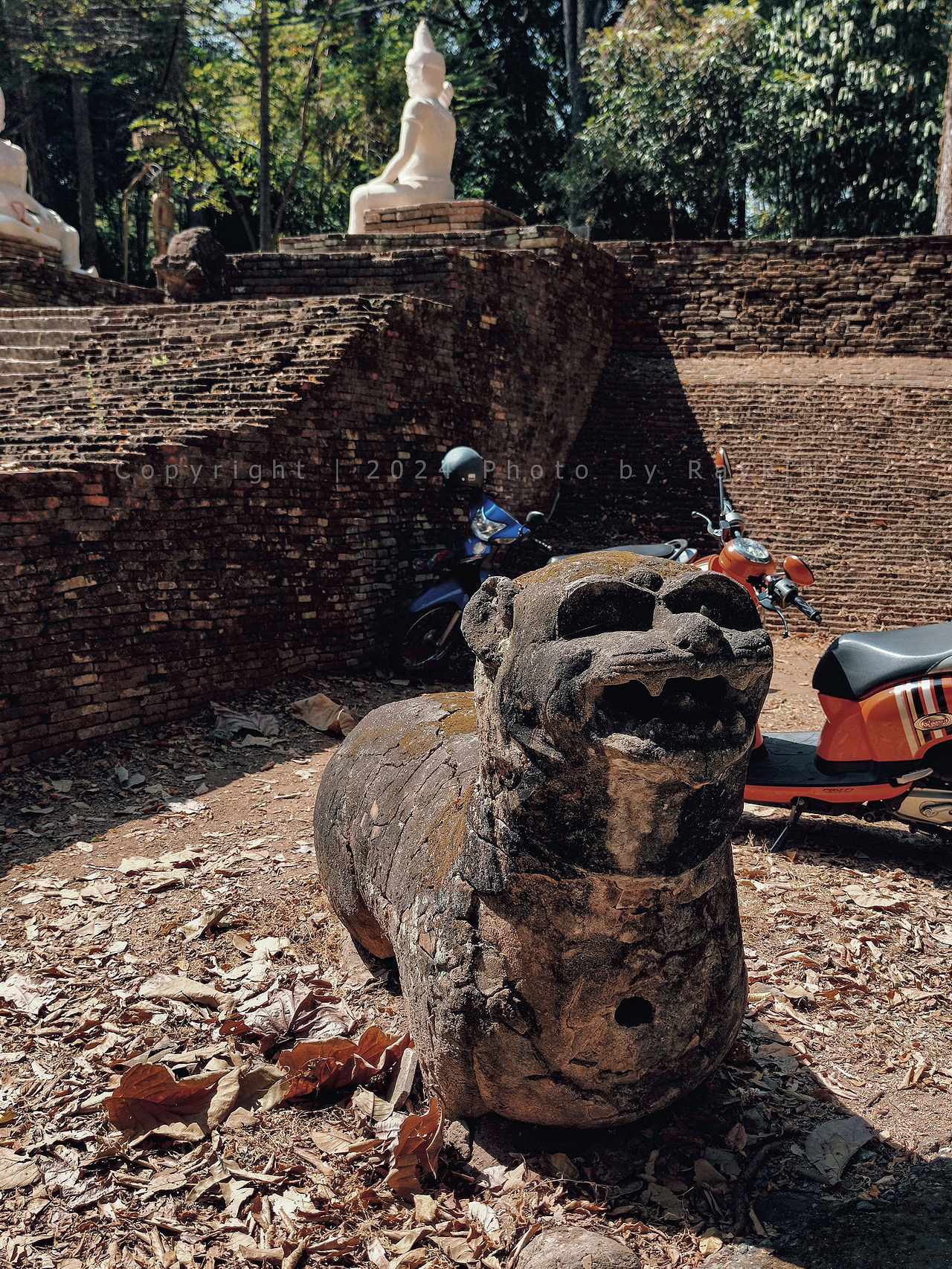寺院内随处都有散落的古迹,门前停车空地的石虎