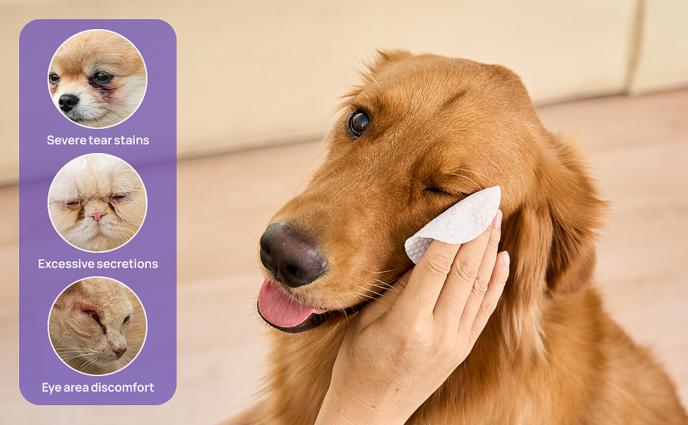 亚马逊宠物滴眼液产品图（图ZMzUyNDI5NDg4） - 电商 - 站酷设计师画画会手抖原创素材 - 站酷ZCOOL