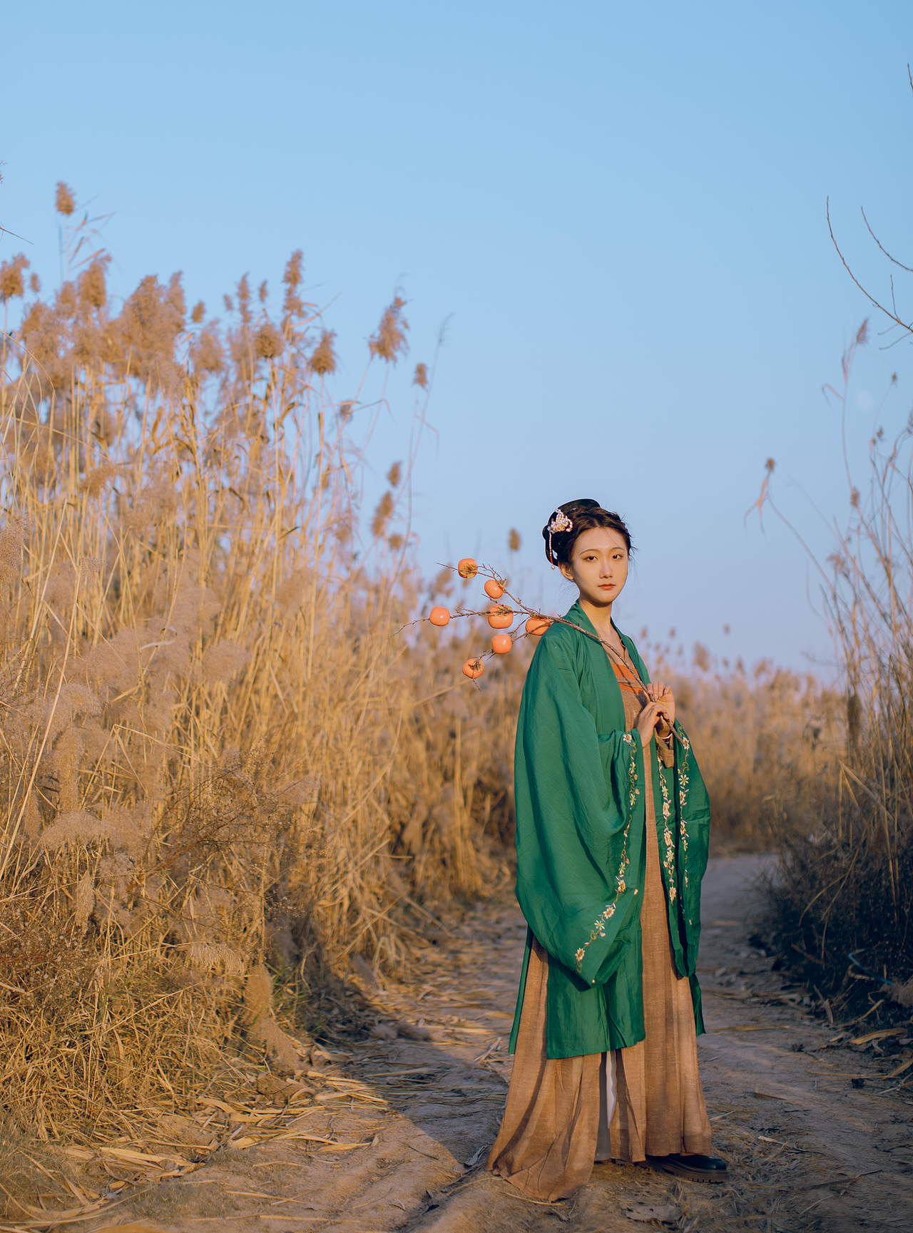 我寄愁心与明月,随风直到夜郎西。