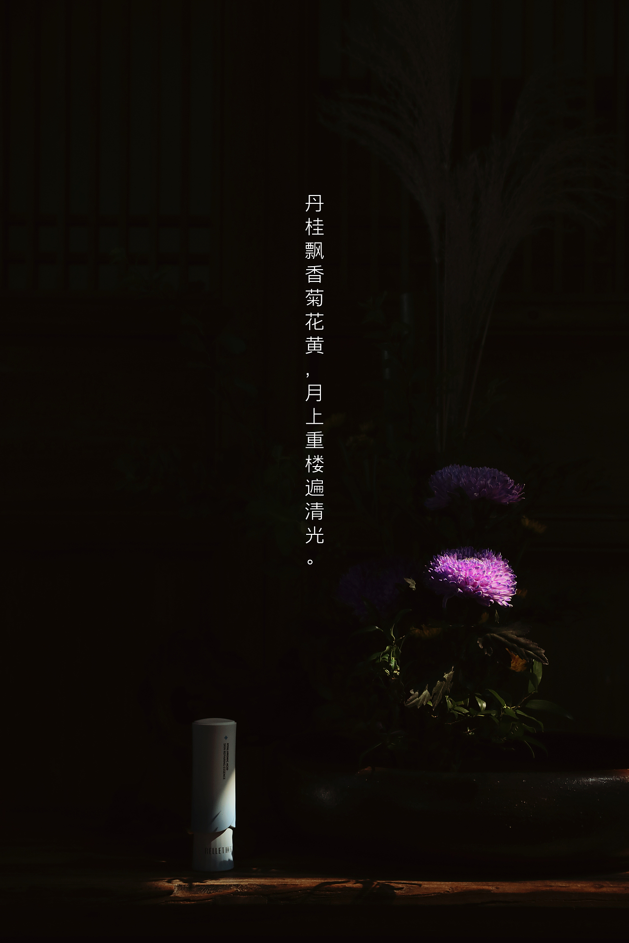 颐莲｜中秋企划与你共赏月圆时