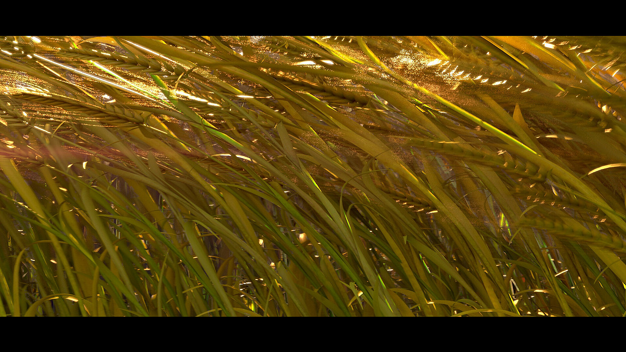 Procedural Wheat Simulation