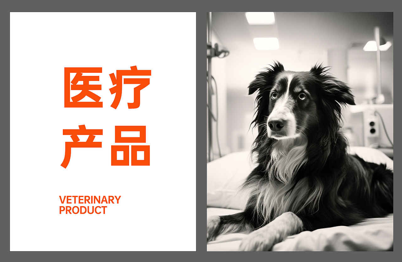 4个吊旗的设计,为了贴合产品属性,让猫猫狗狗的图片效果做到最好,于是上了MJ,这确实省了很多拍摄和人工的时间。