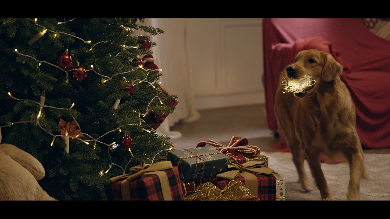 圣诞灯串产品视频（图ZMzcwNjE0MDA4） - 短片 - 站酷设计师星海设计SOSD原创素材 - 站酷ZCOOL